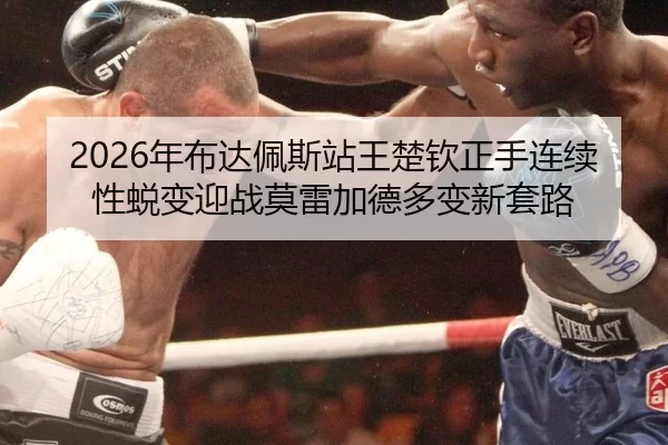 2026年布达佩斯站王楚钦正手连续性蜕变迎战莫雷加德多变新套路